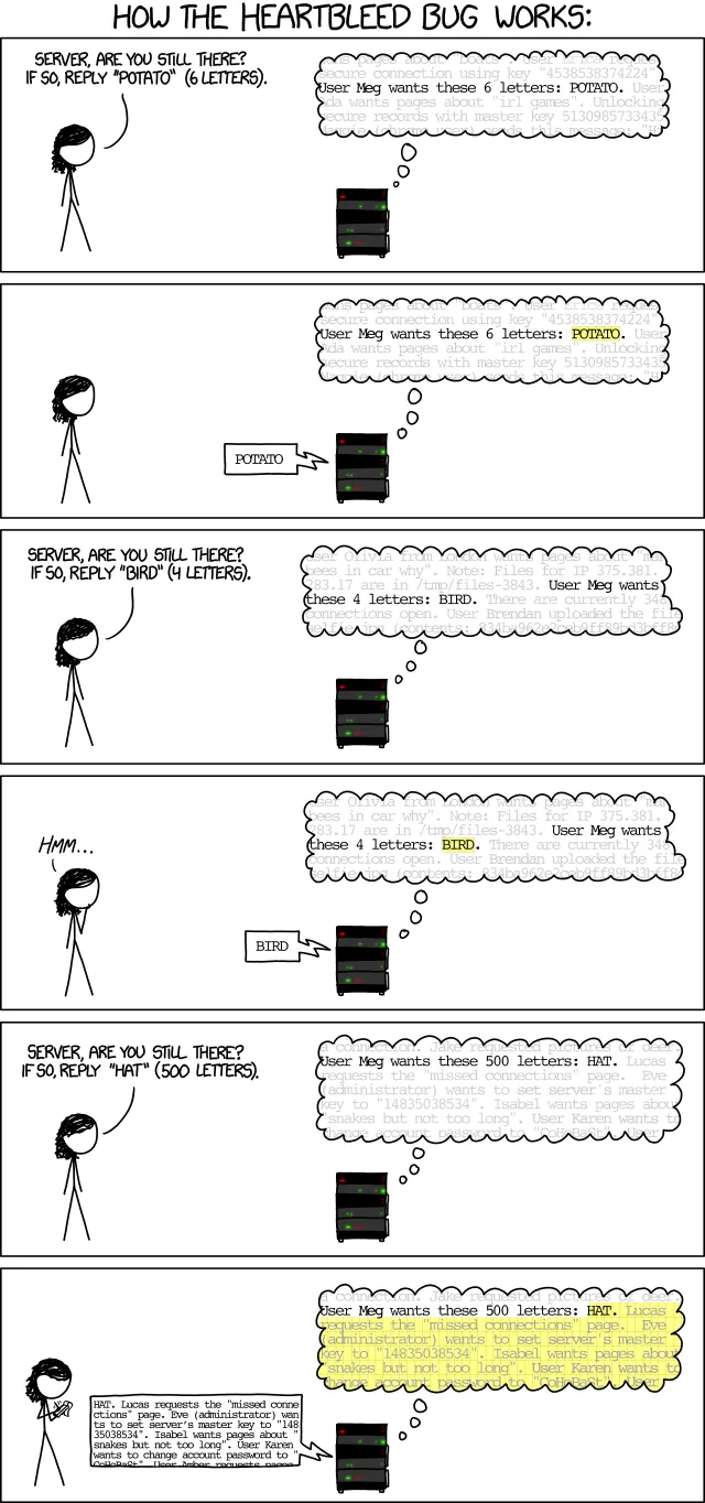 Heartbleed Vulnerability Explained