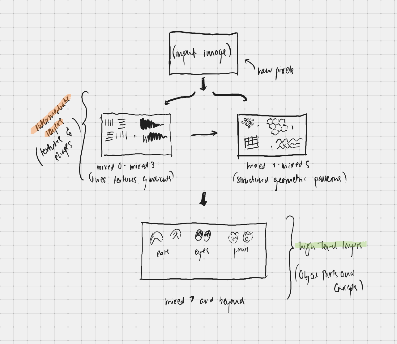 Figure 3: The hierarchical nature of a Convolutional Neural Network. Shallow layers react to local pixel changes like edges and orientation. As data travels deeper into the InceptionV3 architecture, these edges are mathematically combined into complex textures, shapes, and eventually, whole object parts.
