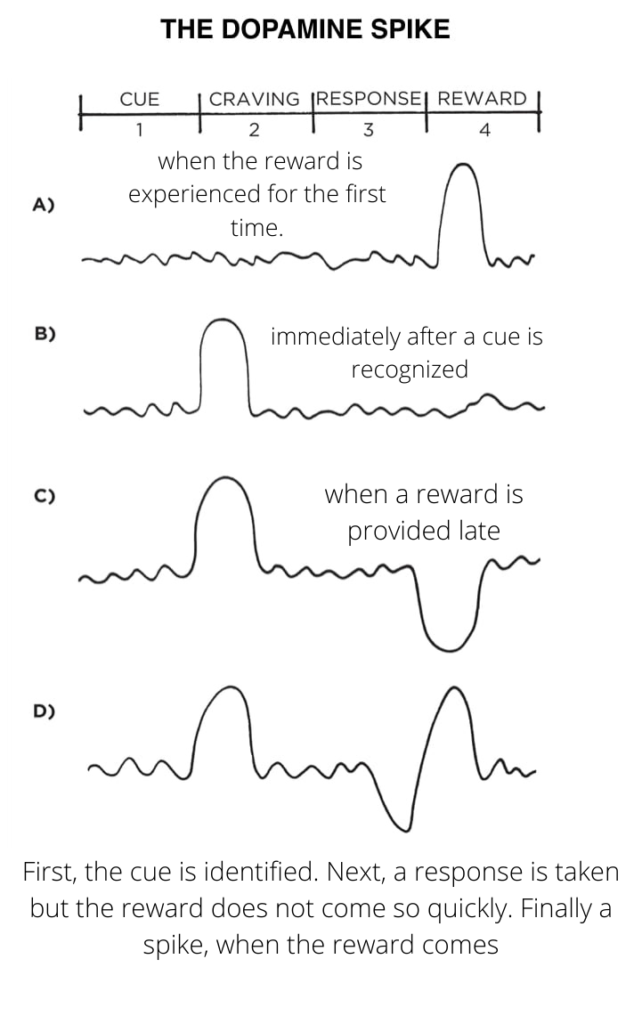 The Dopamine Spike