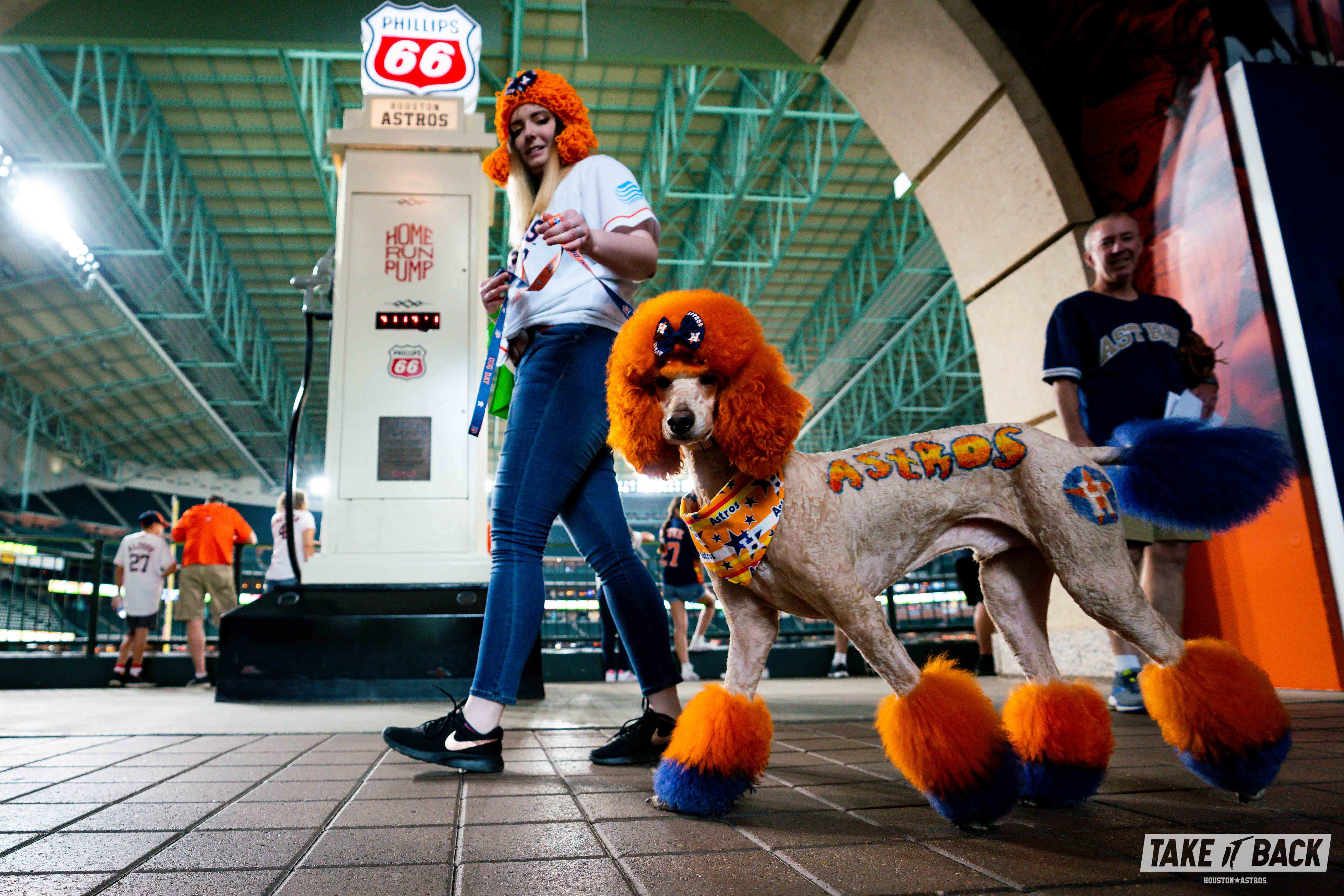 DOG DAY 2019. 12/10 good day. Baseball Doggos…, by Houston Astros