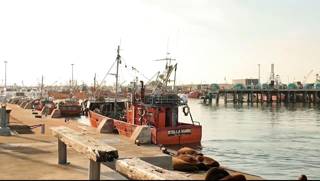 La pesca argentina a la deriva: entre la soledad y la incertidumbre económica
