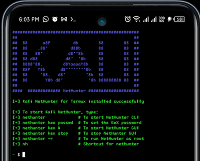 Kali NetHunter Terminal