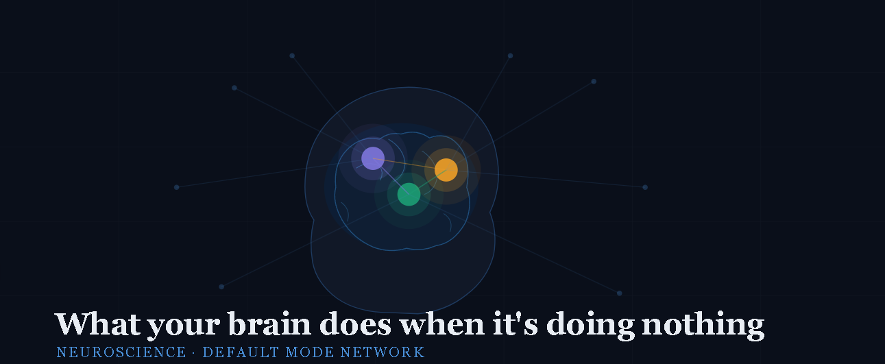 What your brain does when it’s doing nothing — and why it defines you