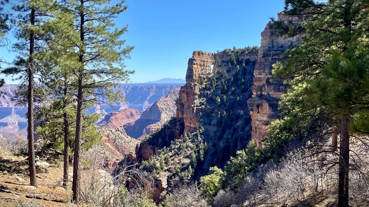 Why Are So Many People Dying in the Grand Canyon?