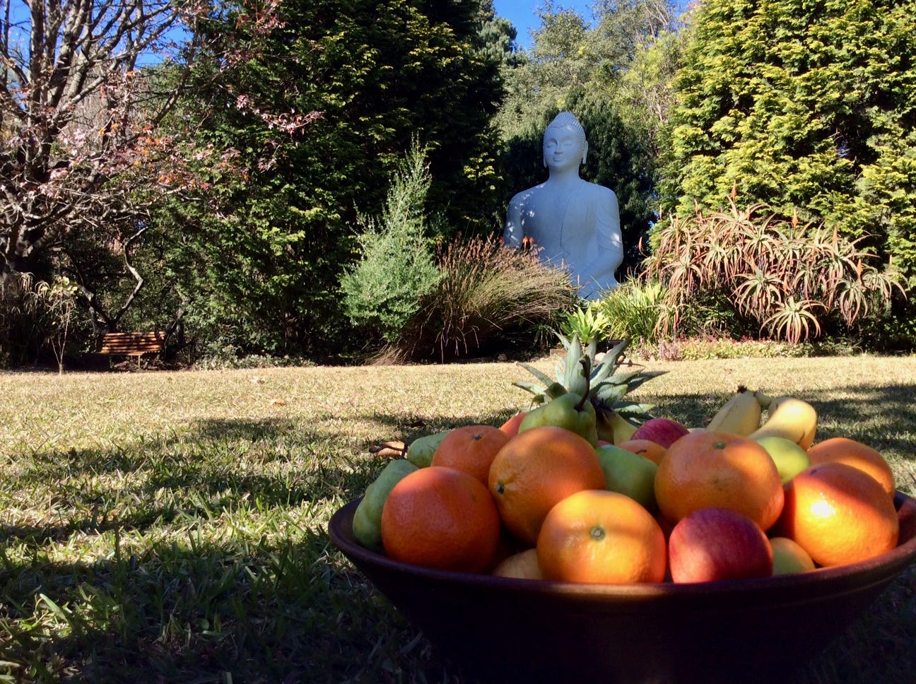Fruitful days and the BRC’s big welcoming Buddha.