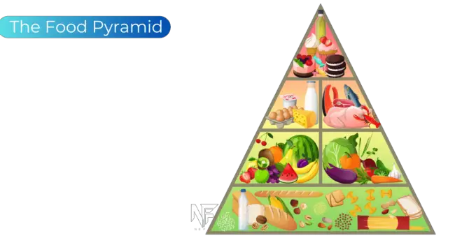 Food Pyramid — A Comprehensive Guide to Building Glutes in 2024