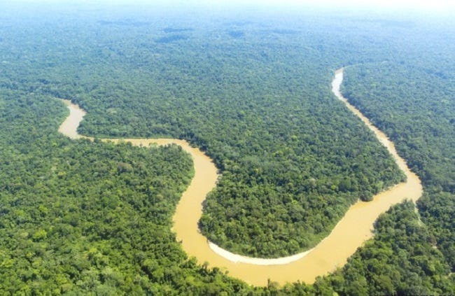 World's most wilderness place 'The Amazon Rainforest': Take a Geotourism  around the wonderland | by Sutikshan Dwivedi | Medium