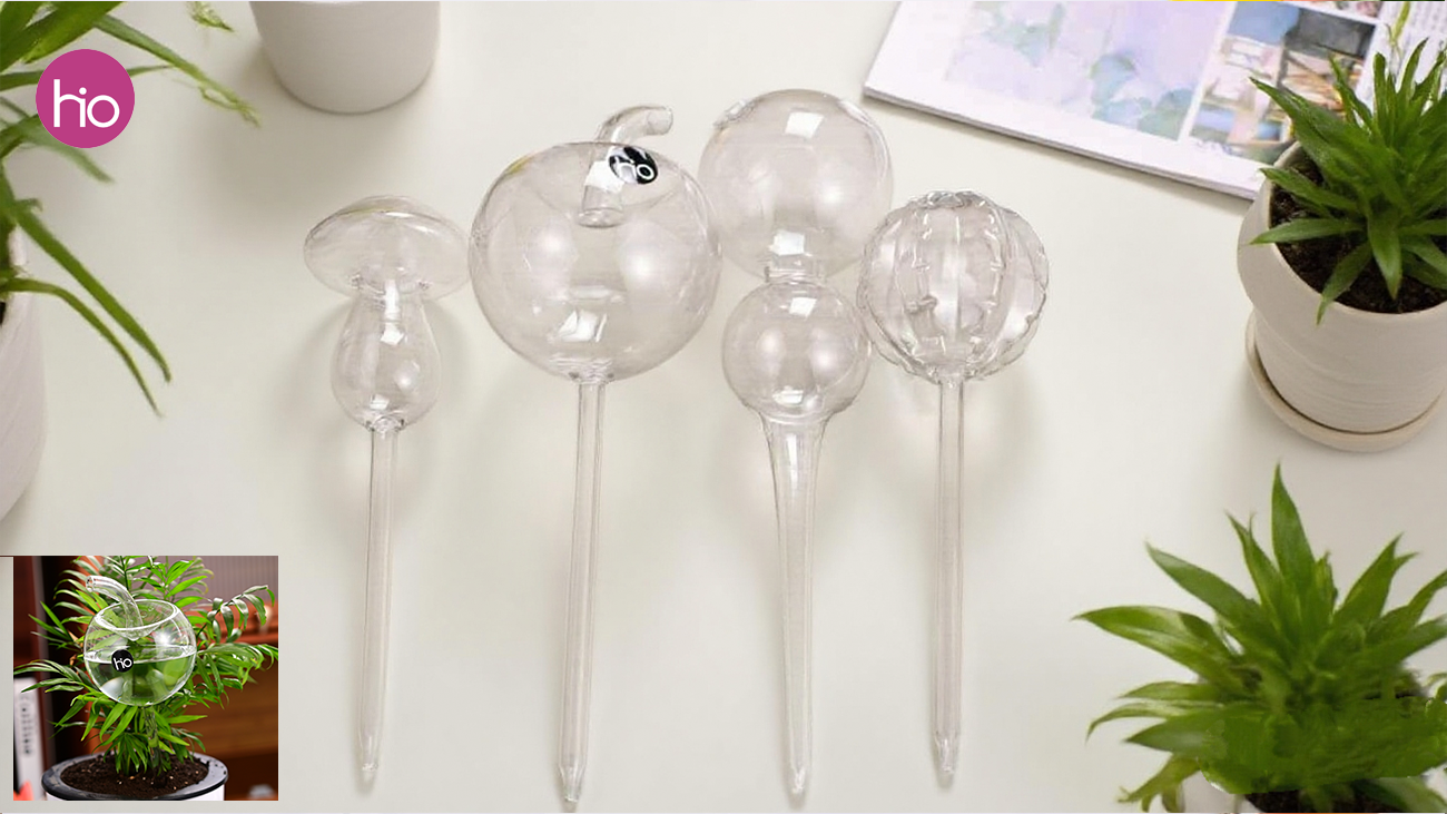 Ampoules auto-arrosantes en verre soufflé à la main
