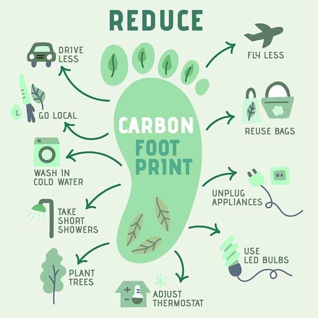 Image result for Sustainable Living: 10 Easy Ways to Reduce Your Carbon Footprint infographics