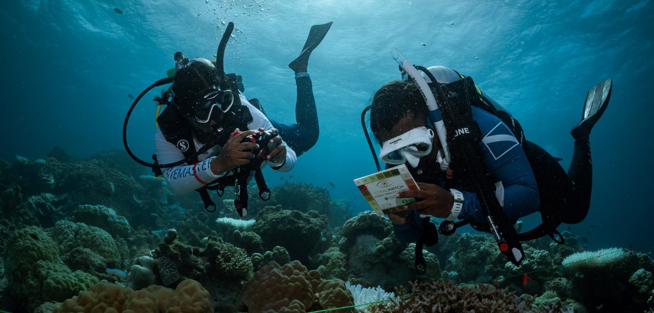 Dive into a Career: Become a Master Scuba Diver Trainer