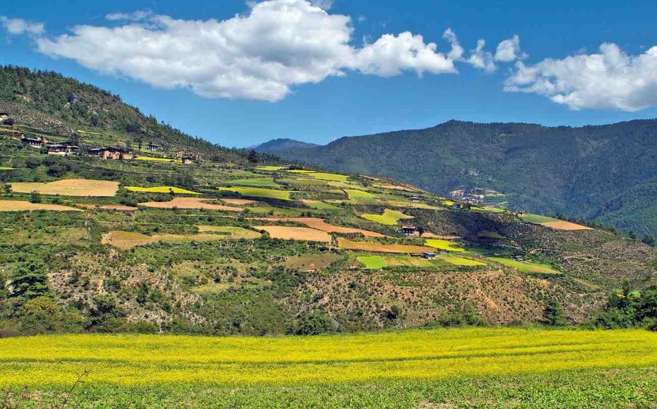 Best Bhutan Tour Operator for Customized Travel