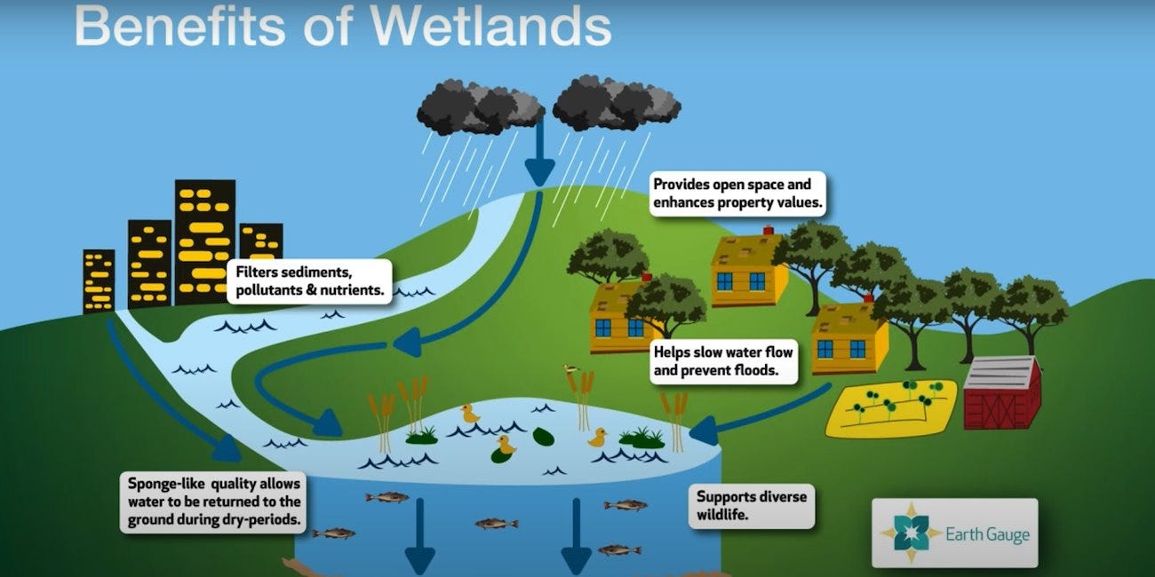 Warehouse vs. wetland (Canada)