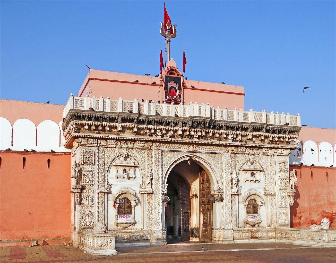 Discovering Karni Mata Temple: A Personal Journey to Rajasthan’s Unique Shrine