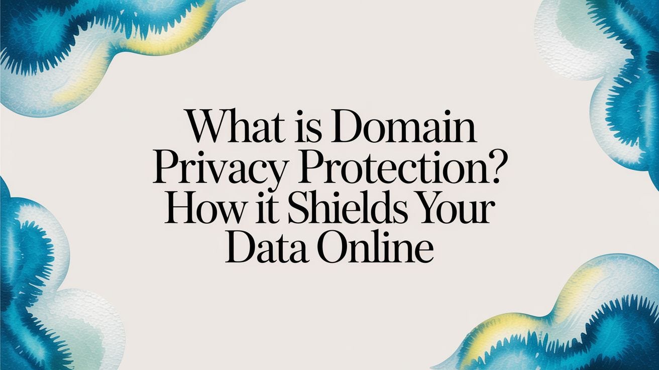 What is domain privacy protection? How it shields your data online