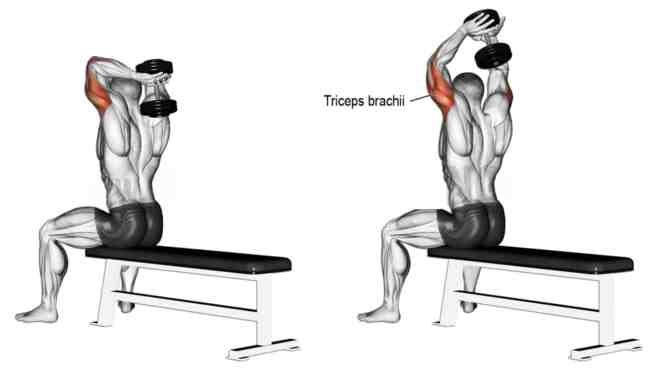 Skull crusher exercise sale