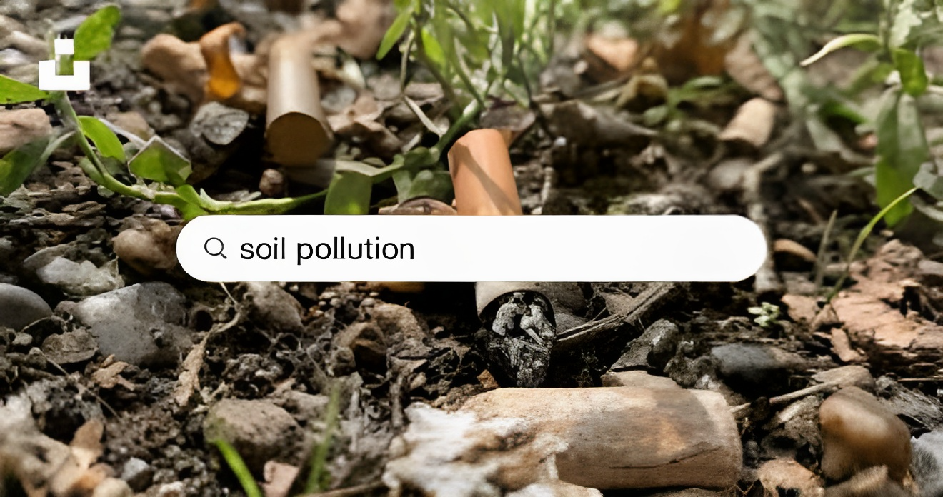 Polluted Soil: Causes, Impact, Remediation Techniques