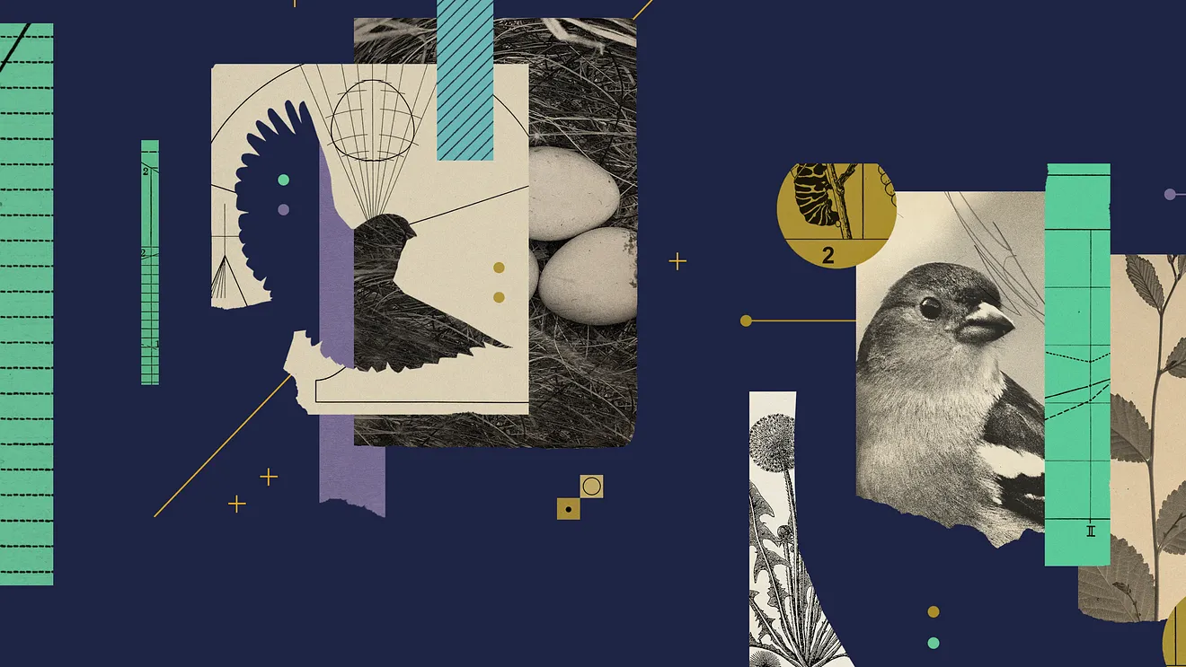 goldfinch_fi
