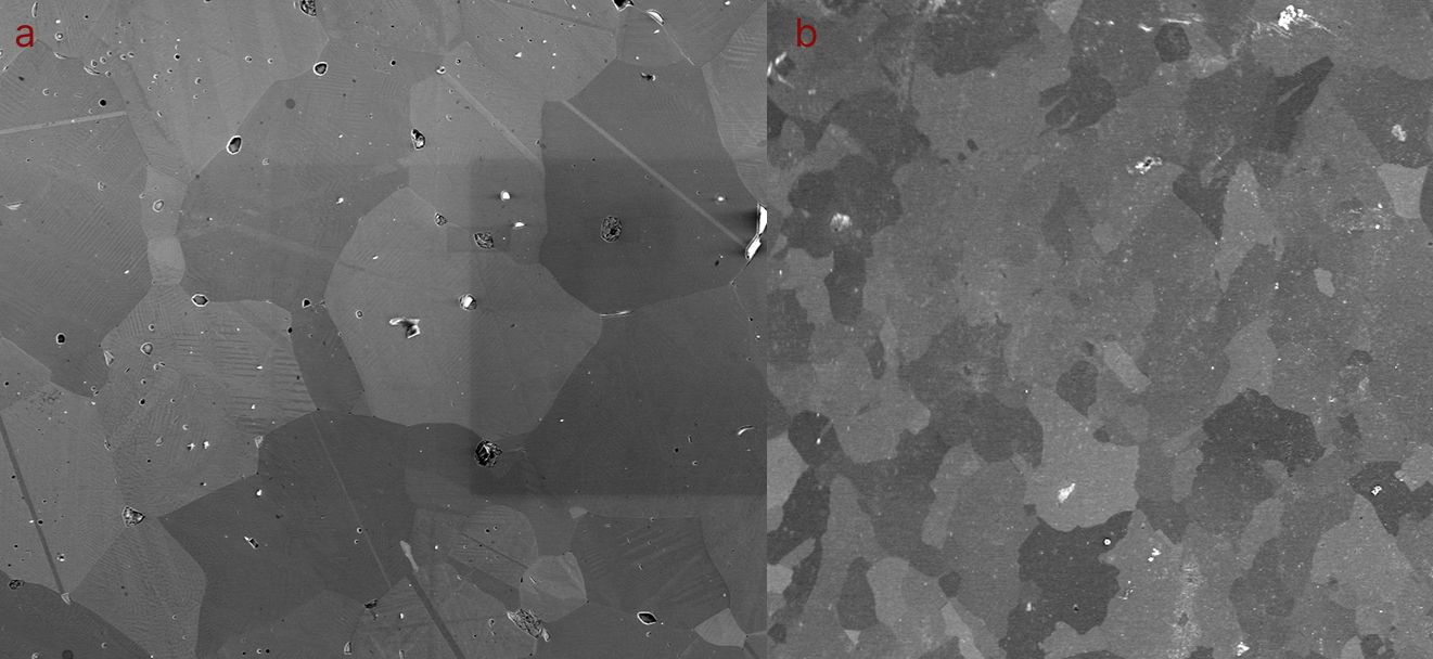 Multi-scale Pre-processing for SEM Micrographs of Line-like Features