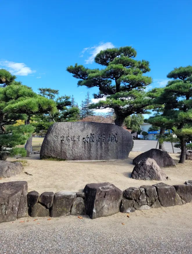 Bonsai!  Where are the best places to see bonsai trees in Japan? | Medium