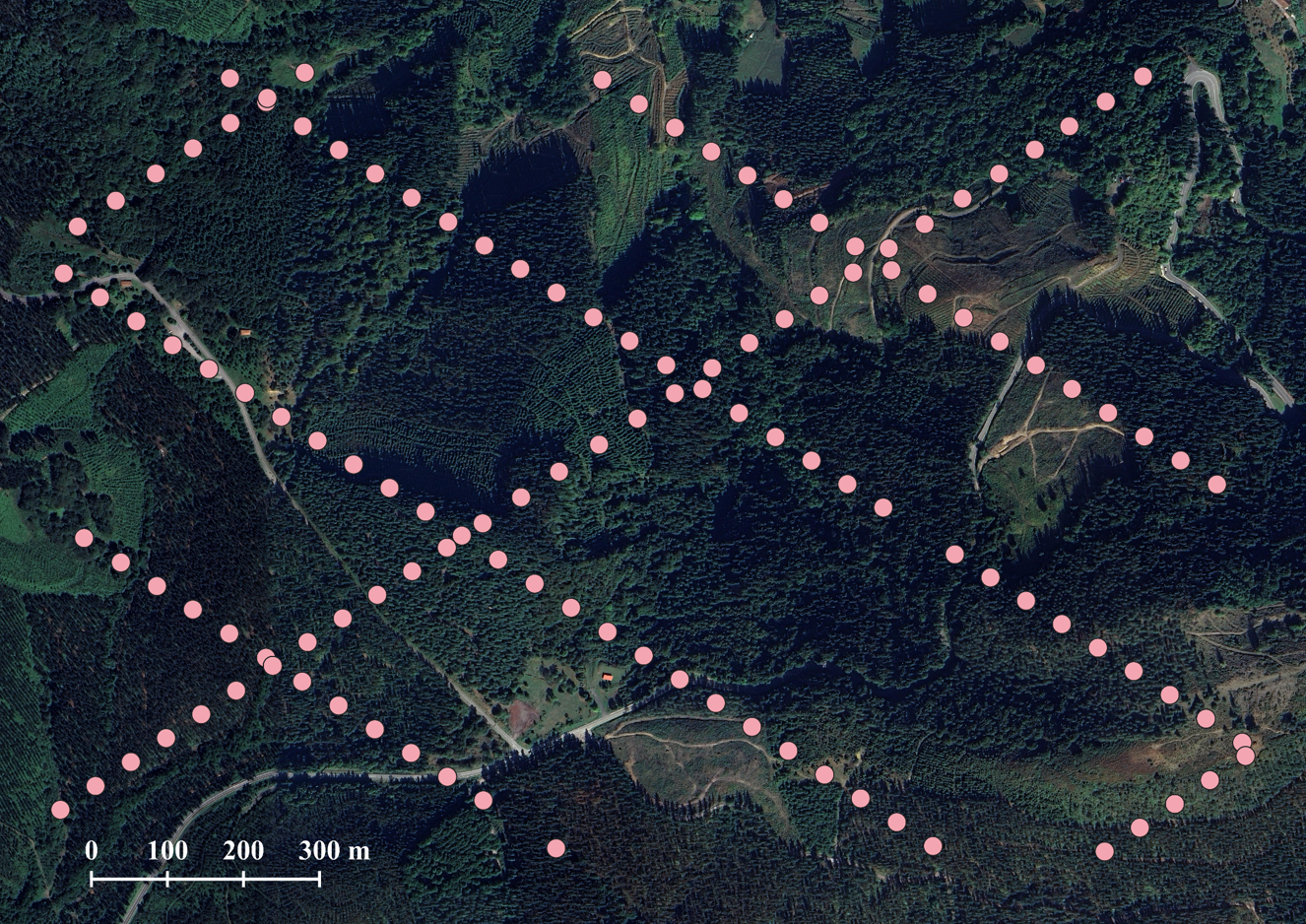 Example of GEDI tracks of observations over a forest in the Basque Country (Spain). Each point corresponds to a footprint, a 25-m-diameter circle, in which GEDI has acquired a waveform. (Image by the author)