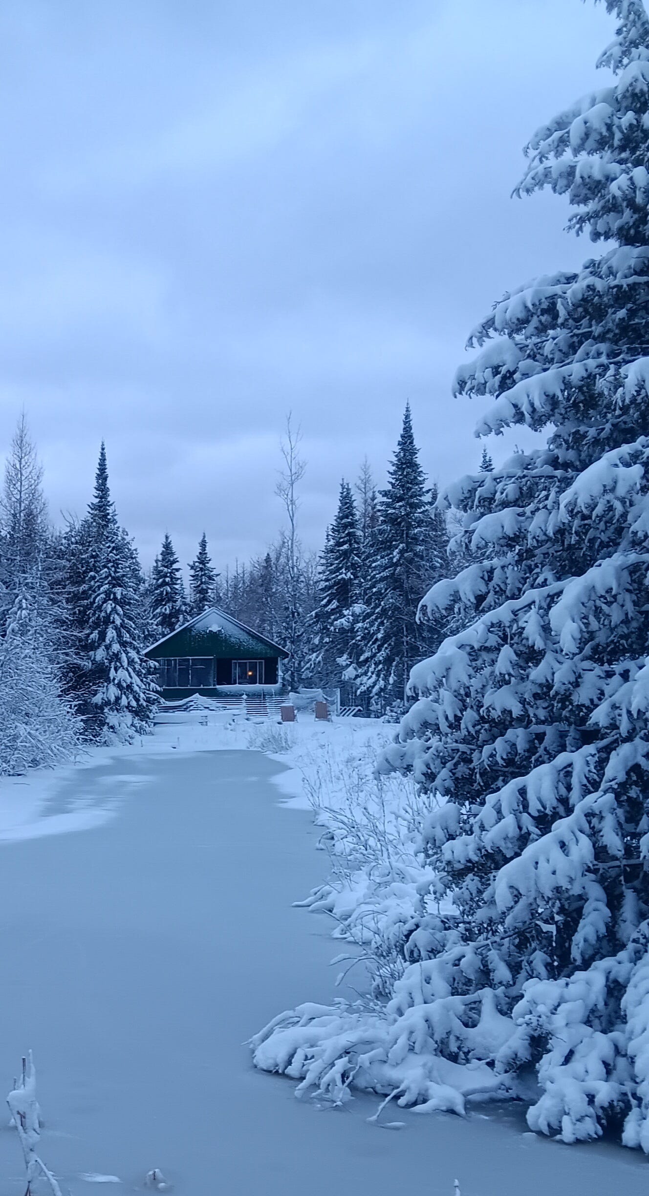 My off-grid home in the woods