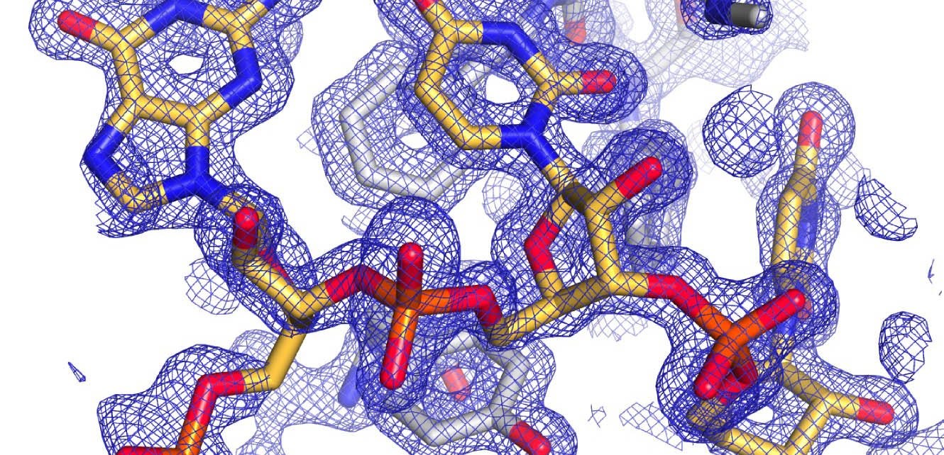 From Geometry to Biology: How SE(3) and Deep Learning Are Advancing Protein Engineering