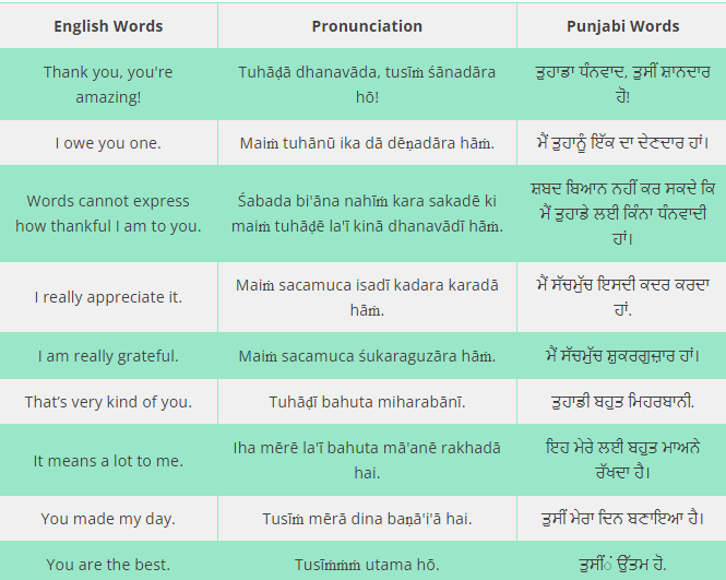 Doomed Meaning in Punjabi - Meaning Punjabi