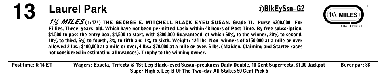 The Black Eyed Susan