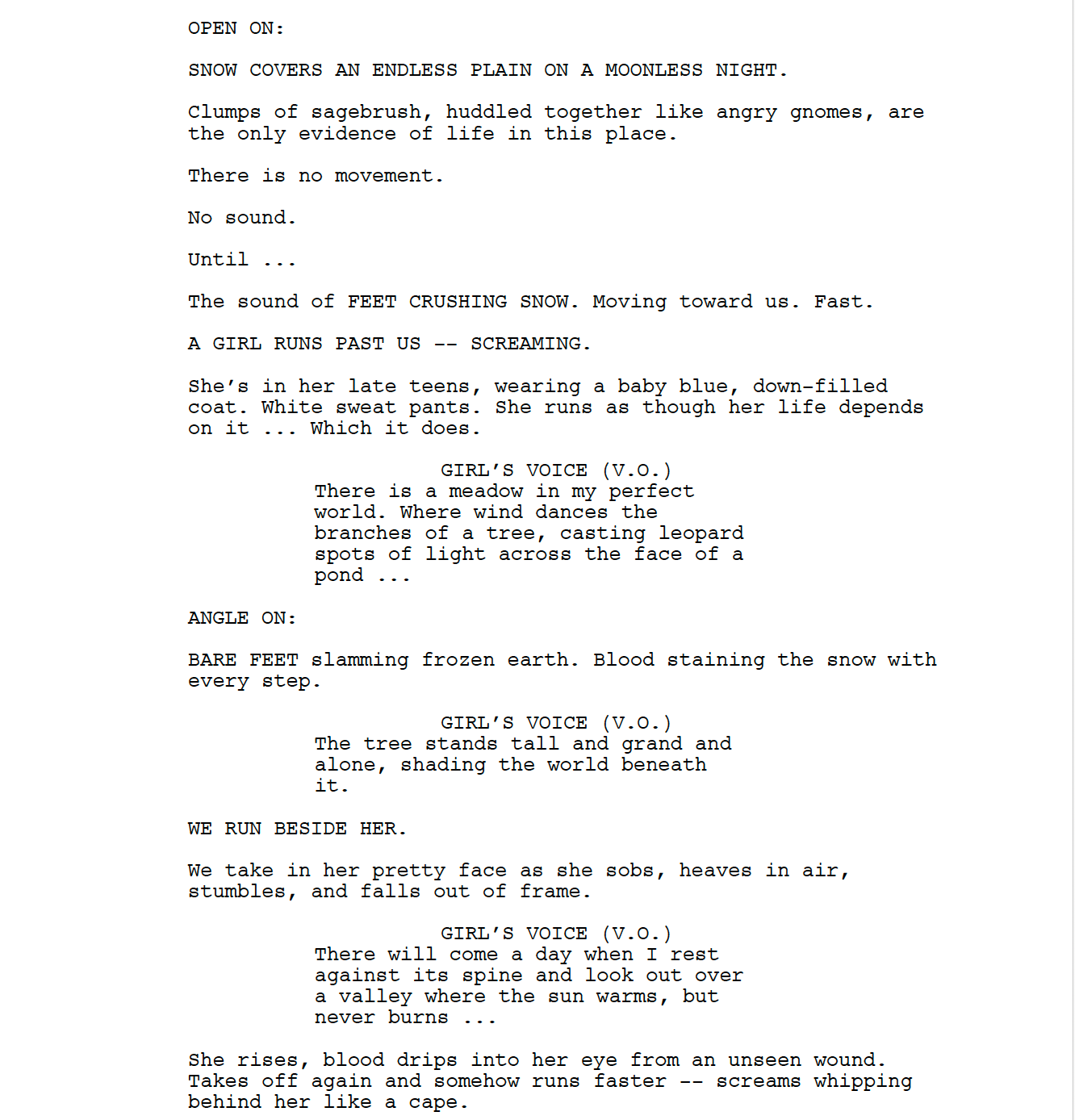 Page One: “Wind River” (2017)