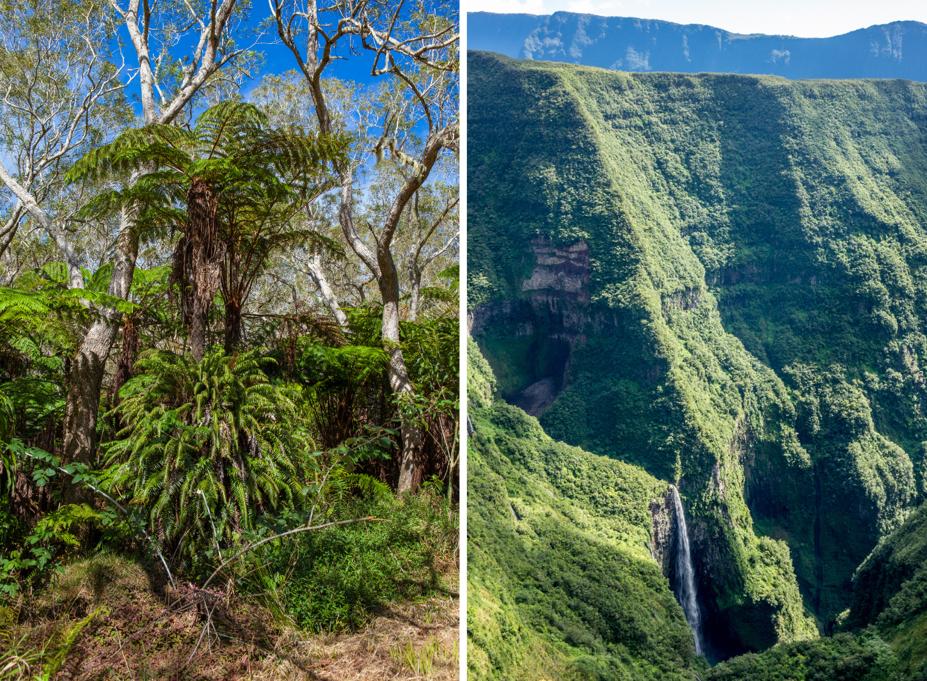 Les plus belles randonnées accessibles de l’île de la Réunion
