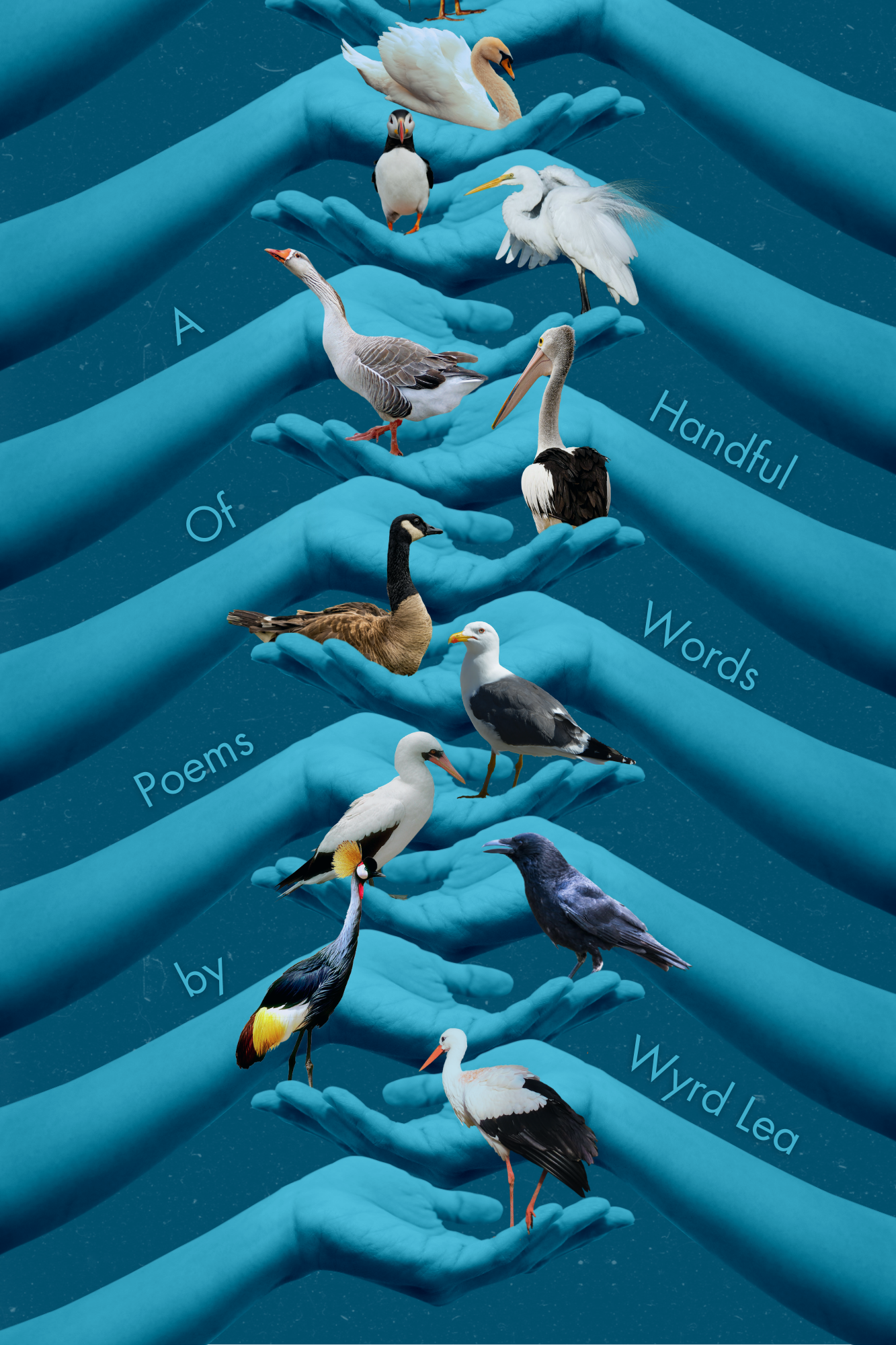 New Book Release: A Handful Of Words