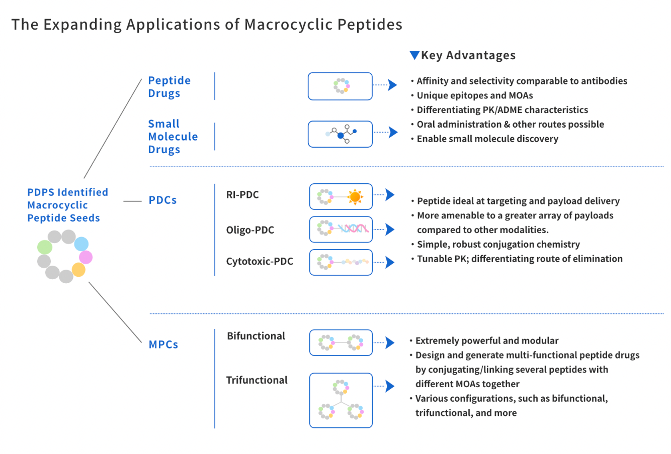 PeptiDream — A Japanese Biotech Company Specializing in Next-Generation PDCs