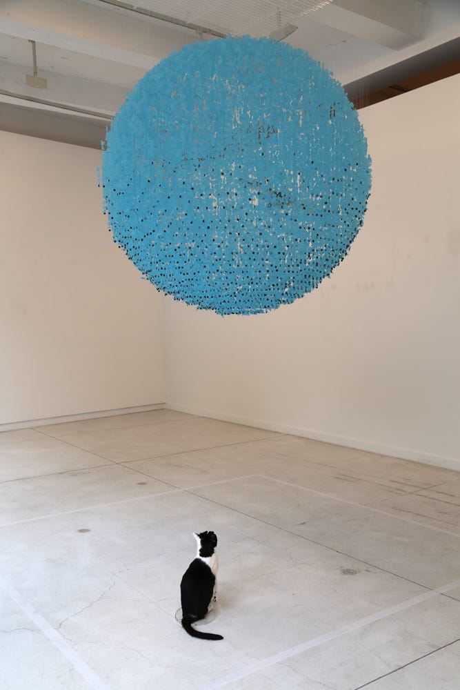 現代彫刻家　Claire Morgan 展示会ポスター　インテリア Claire Morgan at Saarlandmuseum