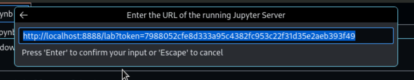 Paste the copied URL