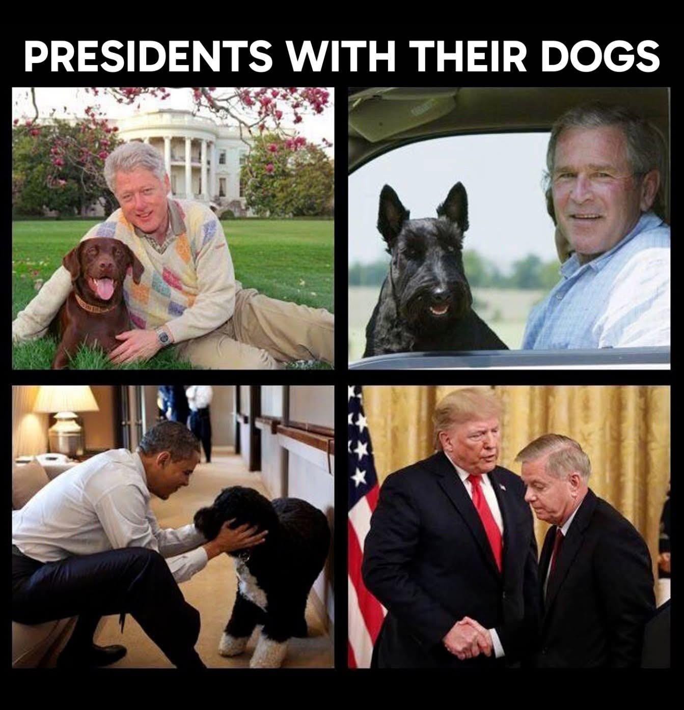 Everybody is Trump’s dogs…truly.