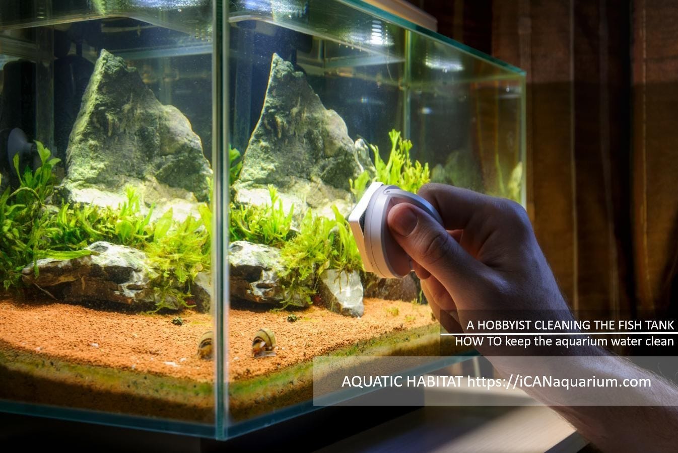 HOW TO keep the aquarium water clean