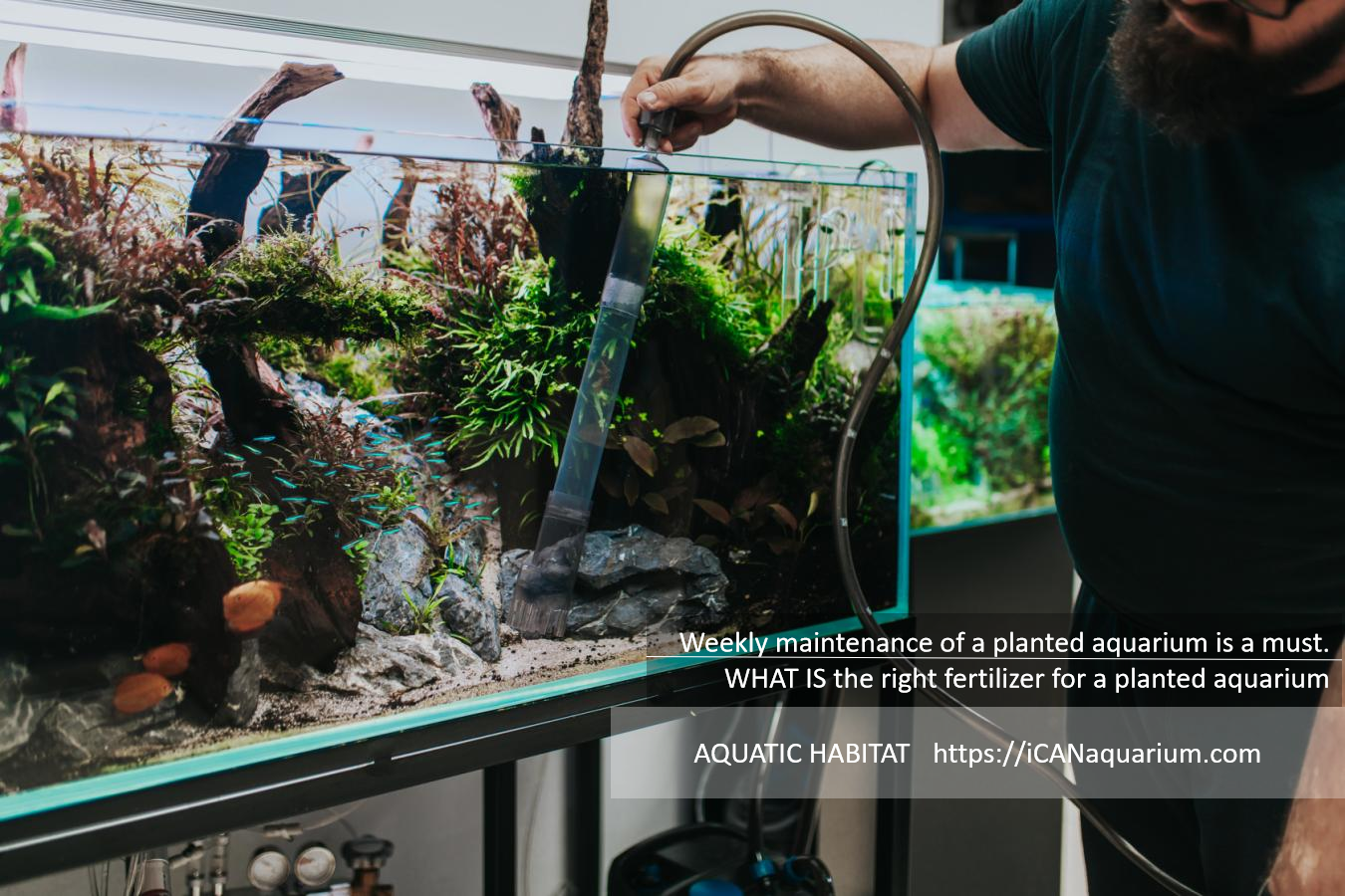WHAT IS the right fertilizer for a planted aquarium