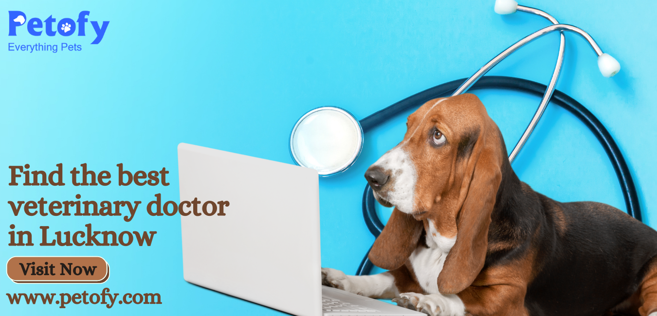 Best veterinary doctor in Lucknow