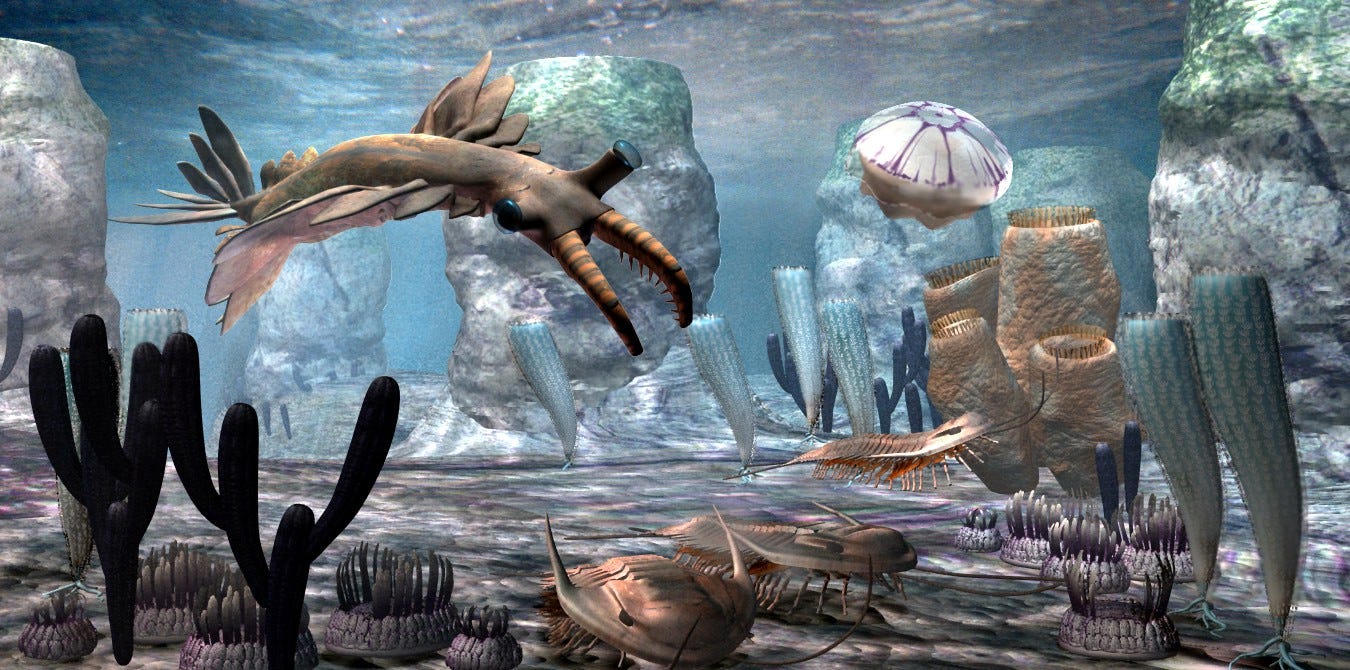 Credit: Ken Doud / NSF — Artistic representation of a Cambrian seabed populated by some strange creatures that flourished in that distant era. The animal with a tapered body visible on the left is an Anomalocaris Canadensis, one of the most dangerous predators in the Cambrian. Its potential victims are the three trilobites visible in the lower center