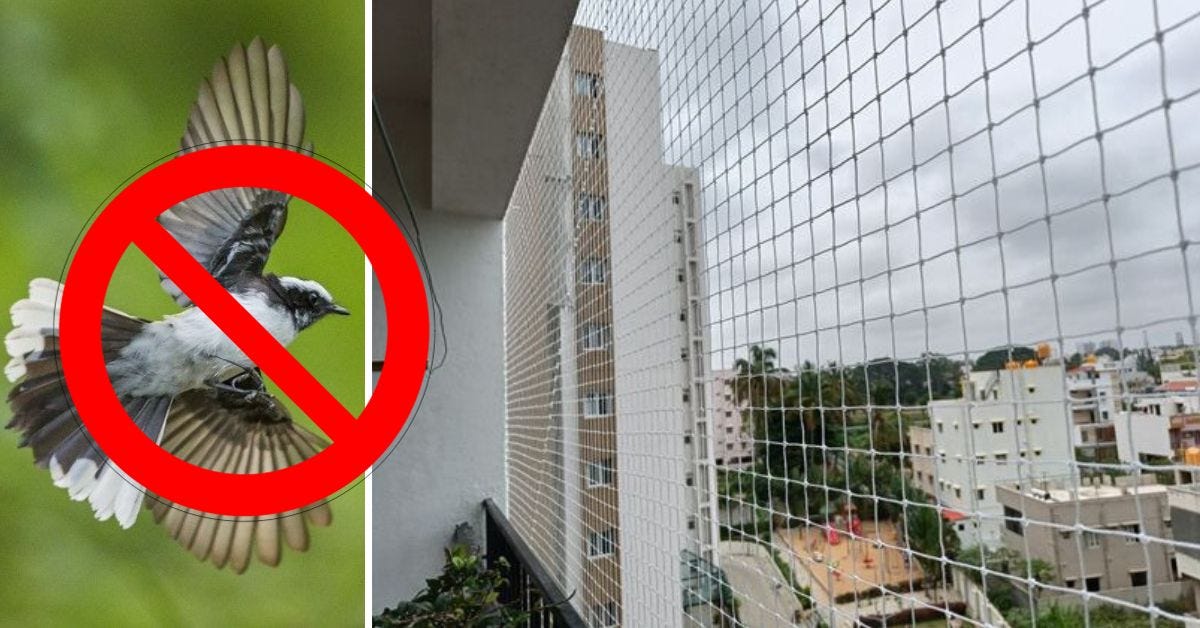 Comprehensive Bird Control: Anti Bird Nets in Chennai by Deepthi