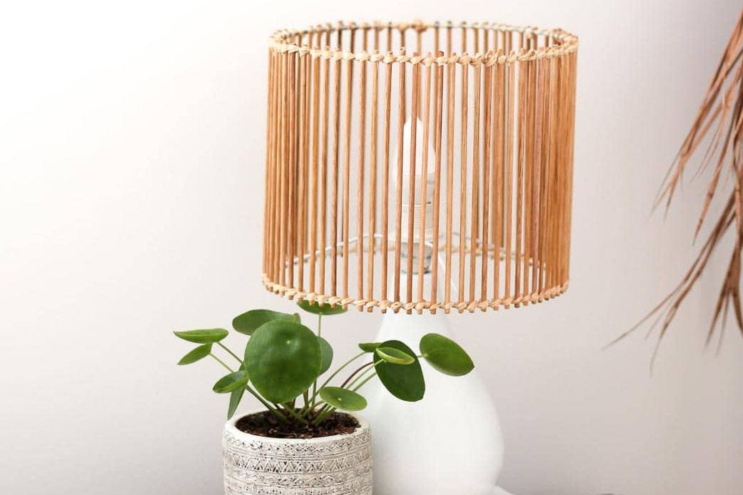 Do Hedgehogs Need a Heat Lamp? Essential Care Tips by Emily Johnson