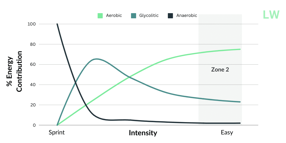 Zone 3 Running Key training zone or waste of time? by Lewis Williams Medium