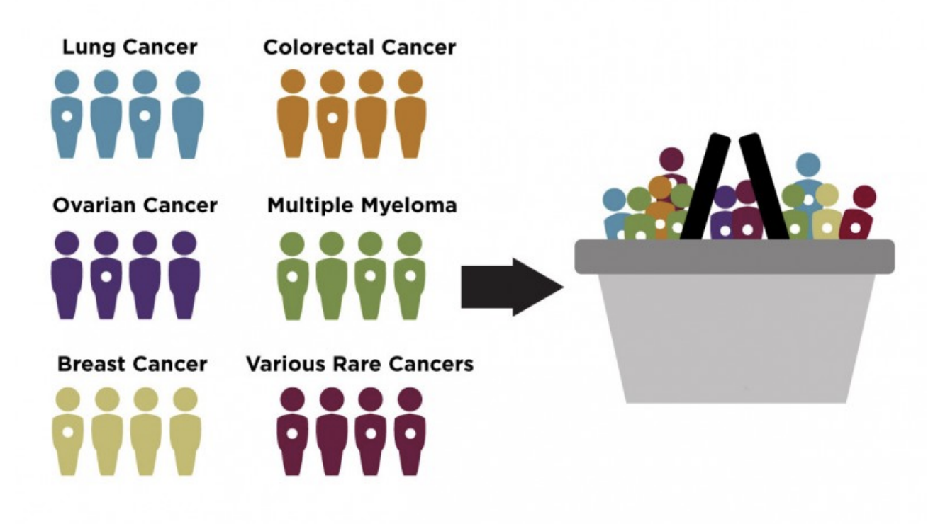 Analysis of Keytruda's Basket Trial | by Dangtvivian | Medium