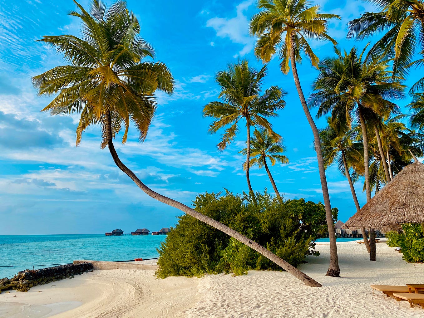 Wanderlust Wonders Chronicle Joy