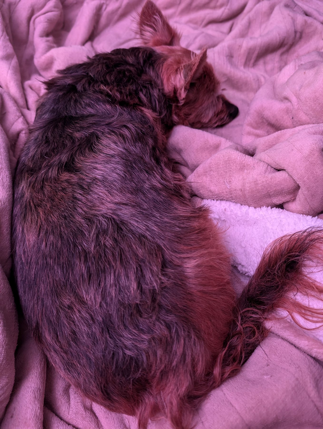 Celebrate Independence Day at Bases Loaded! by Will Jul, 2024 Medium