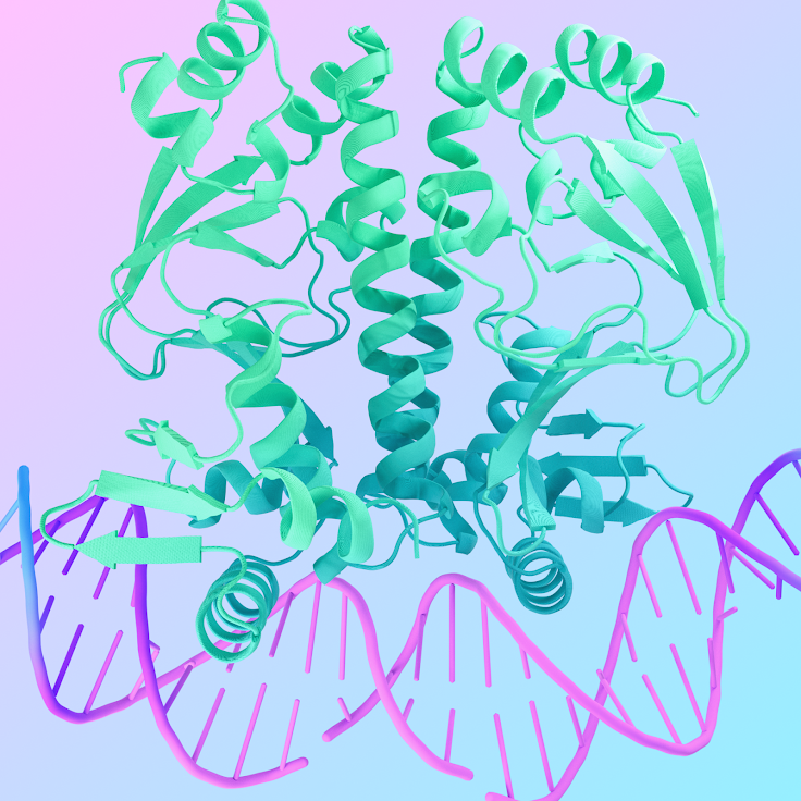Data Science Series [2] — Molten.nvim Transforms NeoVim into a Jupyter ...