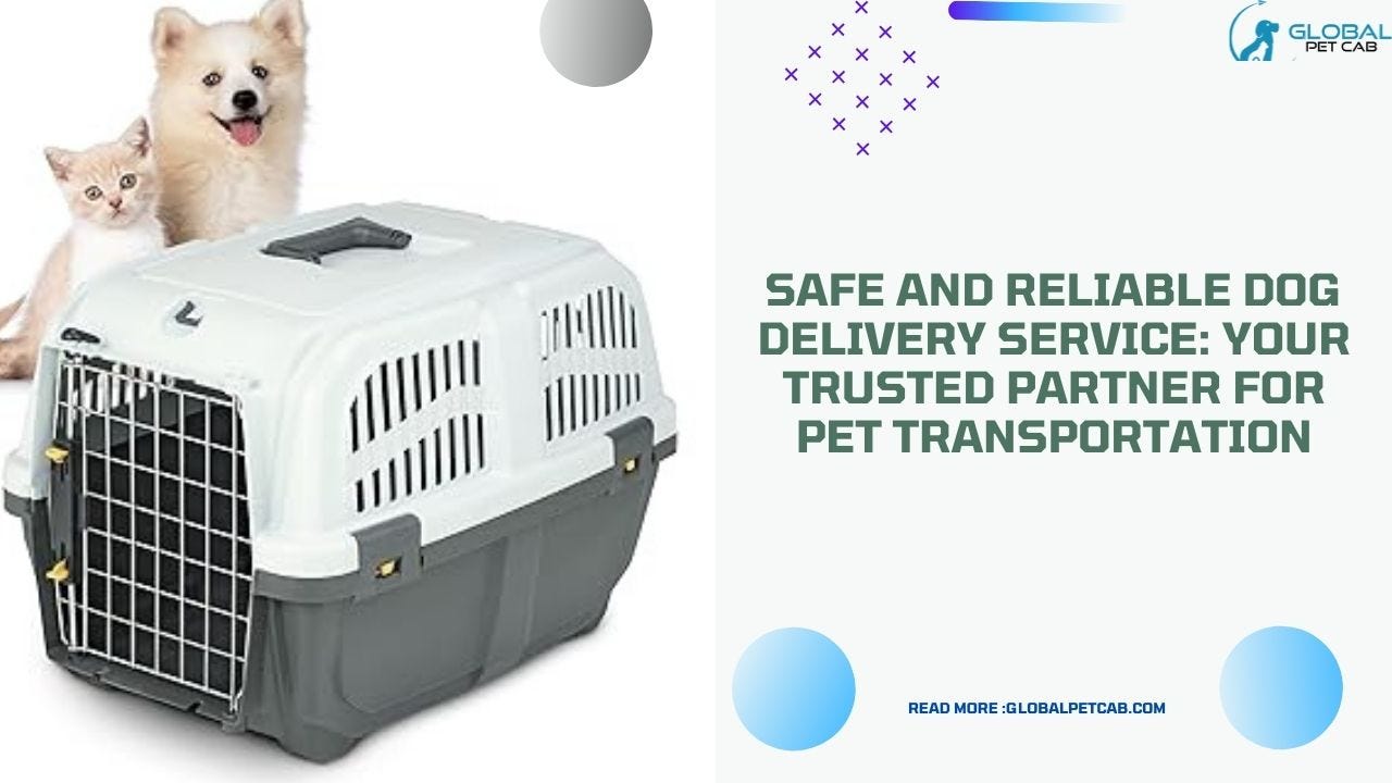 The Complete Guide on How to Ship a Dog Internationally by Global Pet