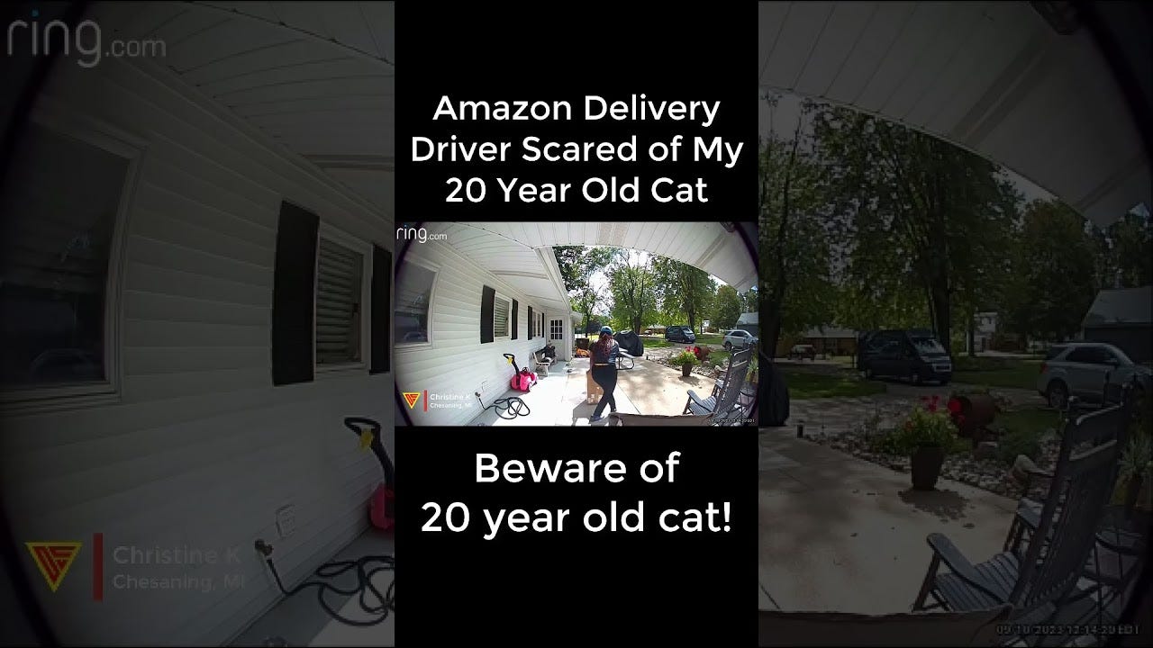 Delivery Driver Throws Package Caught On Ring Camera Doorbell Camera