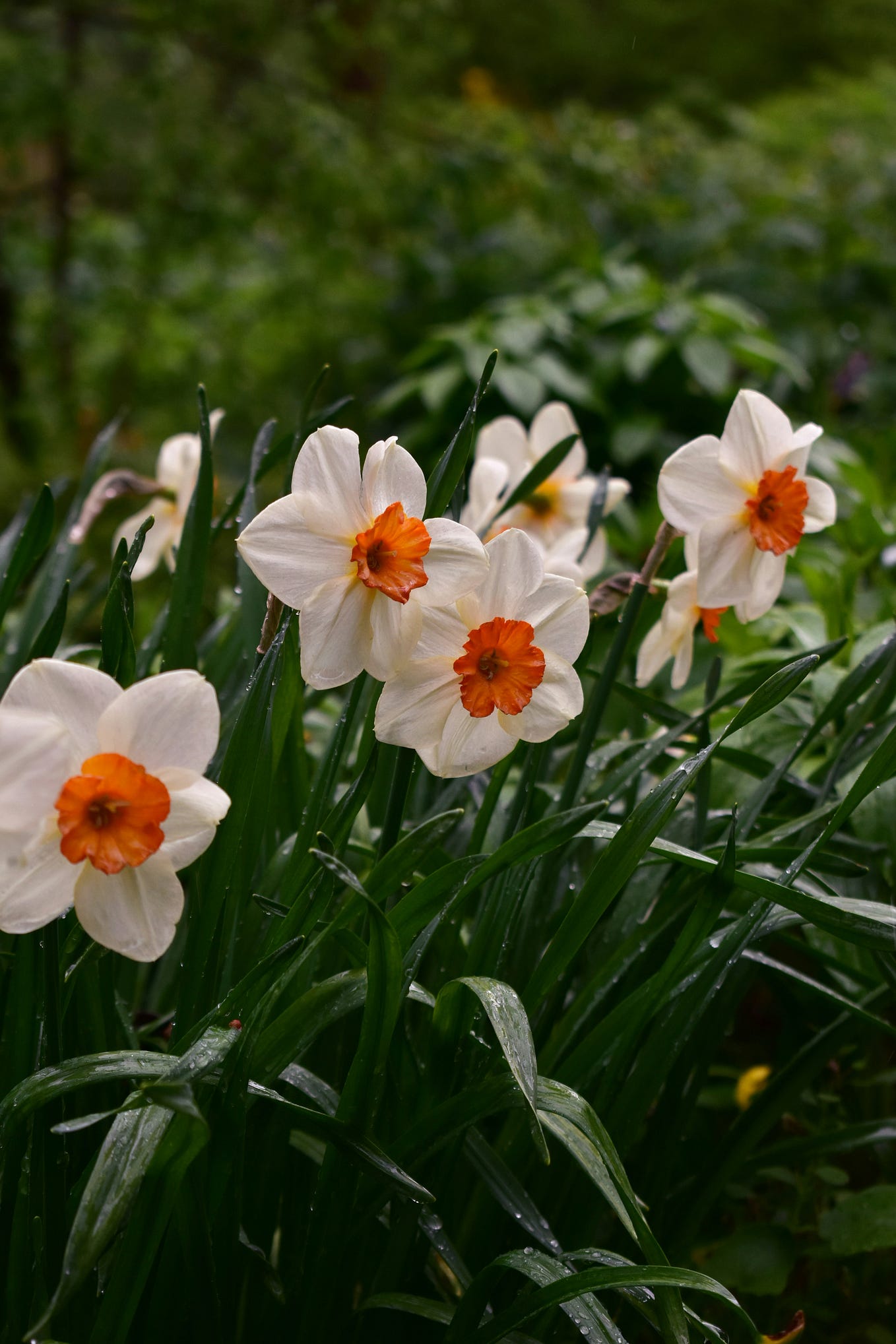 totally-agree-and-that-s-what-i-m-curious-on-to-find-more-astro